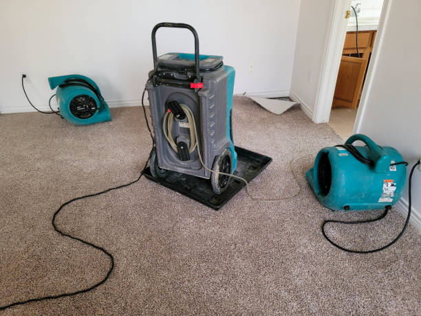 Best Fire Damage Restoration  in Georgetown, SC