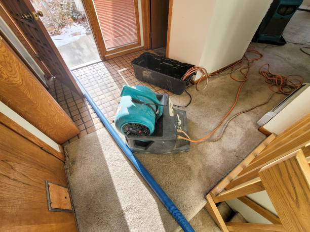 Best Basement water damage restoration  in Georgetown, SC