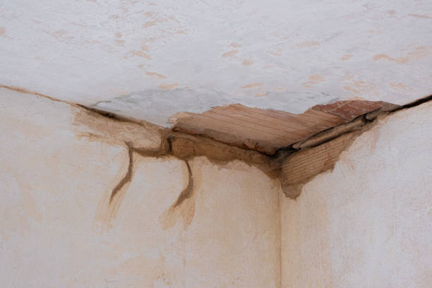 Best Commercial water damage restoration  in Georgetown, SC